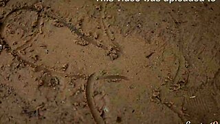 blonde teen alice flore ditches camping fun to finger her shaved pussy outdoors naughtily