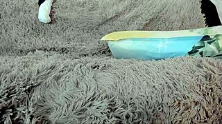 wanna see this perfect body babe's tits on cam?