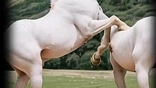 rich cougar in leather gloves and boots rides cock outdoors practical lesson pt1