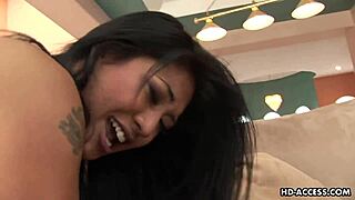 sexy asian lyla lei anal threesome interracial