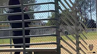 yolanda yamz's curvy latina milf body takes rome major's deepthroat pounding and outdoor creampie blast