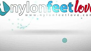 what if hot italian lesbians' nylon toes tempt you in stockings?