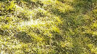 i gave neighbor flowers she gave back cunnilingus pussy lick till orgasm 😍💦