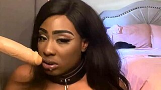 dude, lexo butterflys just sucks that cock right off the wall...