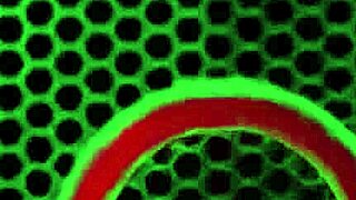 Lissa Austin Harmonie Ms Yummy R Major In Big Tits Pussy Lick And Fuck Fest