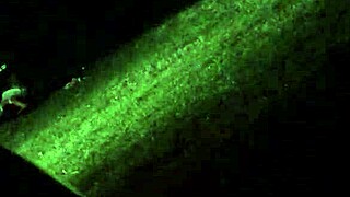 i caught my wife cheating and it turned me on