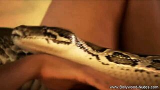 Indian beauty dances seductively stripping clothes in erotic tease filmed close