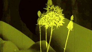 check out this vintage erotic art collection 😍✨