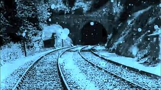 ever seen hairy vintage cartoons get this erotic?