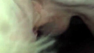i'm the gorgeous french tranny taking six bwc guys in wild gangbang spitroast