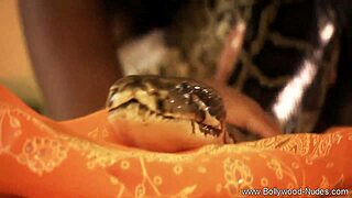 Indian beauty dances seductively stripping clothes in erotic tease filmed close