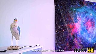 hunt4k blonde slut ditches cuckold gf for landlord's monster cock