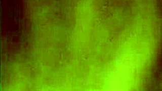 white cock rams deep into big ebony ass with sloppy blowjob and pussy pounding