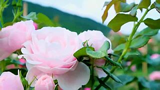 my college indian friend fucked my pussy so good romantically