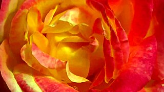 my college indian friend fucked my pussy so good romantically