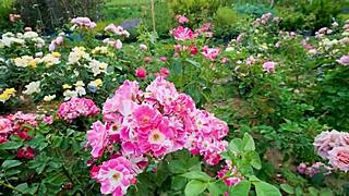 my college indian friend fucked my pussy so good romantically