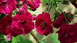 my college indian friend fucked my pussy so good romantically