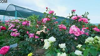 my college indian friend fucked my pussy so good romantically