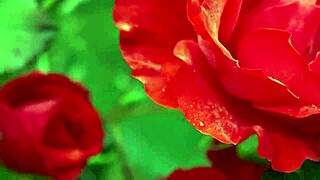 my college indian friend fucked my pussy so good romantically