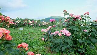 my college indian friend fucked my pussy so good romantically