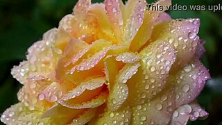 my college indian friend fucked my pussy so good romantically