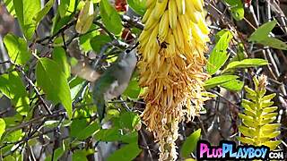 Passion strips naked poses outdoor hot playboy tease