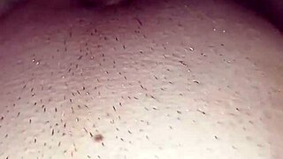 questa troia italiana si fa scopare forte in camera da letto
