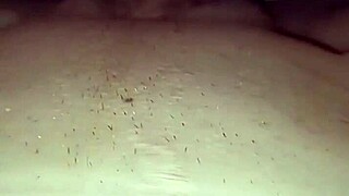 questa troia italiana si fa scopare forte in camera da letto