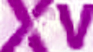 Fucking hayek sisters anal destruction with monster cocks and gaping asses