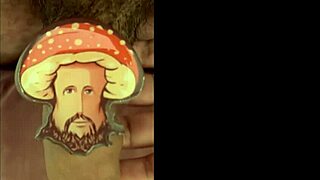 Delightful seasonal compilation assembled as special gift