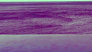 college japanese princess skinny with ponytail relaxes at infinity pool