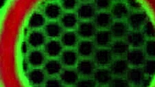 sara jay masturbates thinking about his cock