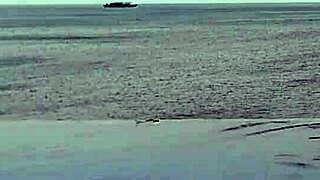 college japanese princess skinny with ponytail relaxes at infinity pool