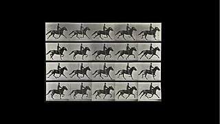 Discover the Hidden Secrets of My Private Vintage World