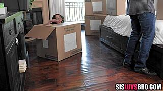 Does your taboo stepsister in glasses crave losing her virginity to you first?