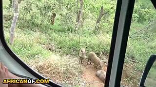 Cute black amateur girlfriend rides euro boyfriend in real homemade video