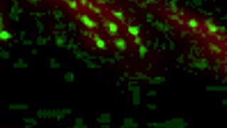 bbw sub chubby ass bent over ruins tights doggystyle