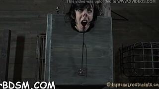 Ever seen branding punish tight bound cunts?