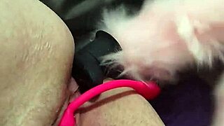 damn this chubby fox takes dp like a champ 😍🍑🔥