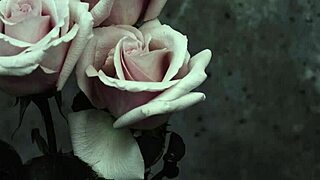 Goth heartbreak in mcr's i don't love you spanish sub