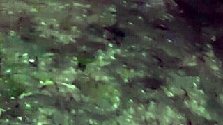 I caught step-aunt fingering hairy pussy and watched her orgasm beaver squirt