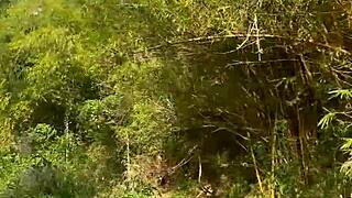 fucked stranger in forest cumshot almost caught outdoors