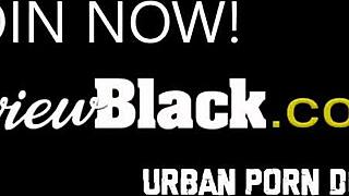 horny teen's job interview turns into wild sex