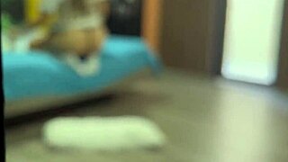 School uniform hottie shakes huge ass masturbating tight pussy to massive cum floor finish