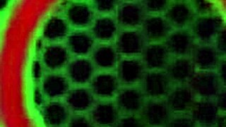 oh man pink haired milf's hot ass rides toys to wet orgasm in solo fun