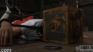 four angels cram into tiny 18+ cage what happens next