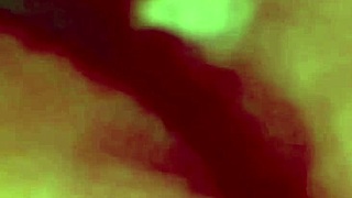 Virginity-Lost Pink Pussy Still Teases? Part 2