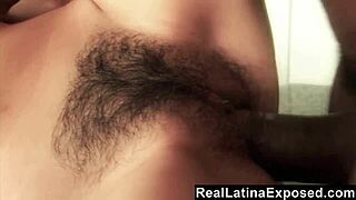 latina teen brunette spreads wide for neighbor's big black cock