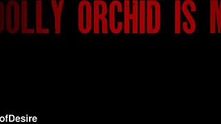 asian beauty dolly orchid rides tattooed spanish guy in wet pounding session