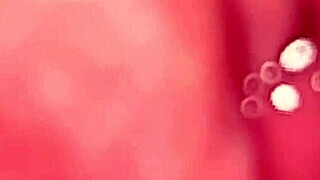 Virginity-Lost Pink Pussy Still Teases? Part 2